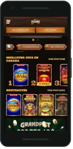 Lizaro app on a smartphone